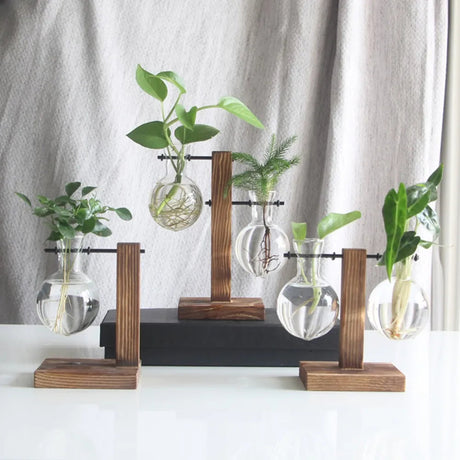 Vase de bureau hydroponique Vintage pour plantes