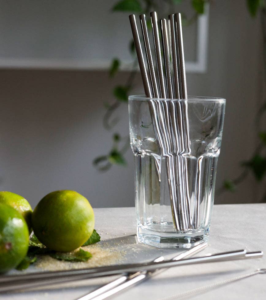 Pack de 10 pailles en inox réutilisables